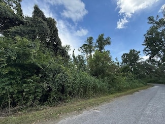 0 Bishop St, Greenville, FL 32331