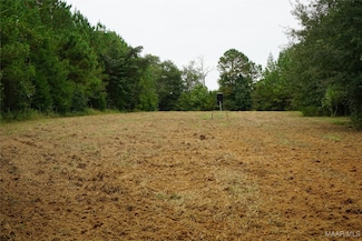 4180 Alabama 131, Clayton, AL 36016