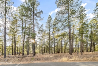 2602 Mesa Trail, Flagstaff, AZ 86001