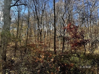 0 Horse Cave Rd, Racine, OH 45779