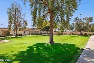 10038 W Hawthorn Dr, Sun City, AZ 85351
