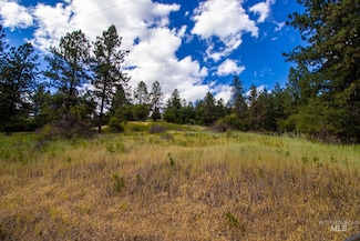 0 Whitetail Dr, Ahsahka, ID 83520