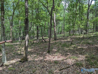 40 Acres Berry Rd, Brownsboro, AL 35741