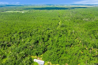 4032 R E Robertson Rd, Vinton, LA 70668