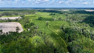 Tract 4 Bennett Mill Pond Rd, Odum, GA 31555