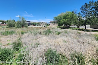 1805 Silver Spur, Silt, CO 81652