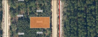 0 Stuart Ave Unit 2054729, Interlachen, FL 32148