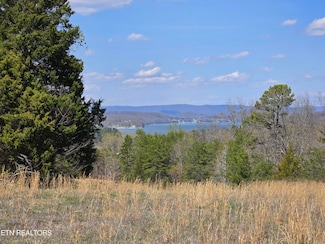 2405 River Rd, Kingston, TN 37763