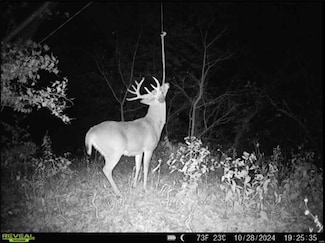 4432 Missouri 79, Louisiana, MO