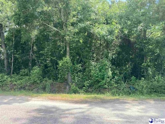 0 W Ave, Dillon, SC 29536