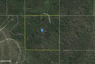 0 Syfrett Rd, Chipley, FL 32428