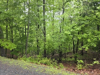 Lt 937 Myna Dr, Ellijay, GA 30540