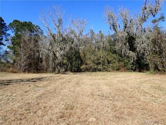 Hidden Hammock 154 Path, Wellborn, FL 32094