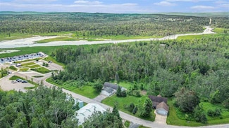 6590 & 6596 Admirals Point Dr, Alanson, MI 49706