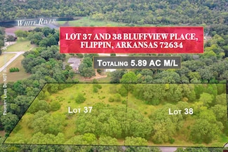 Lots 37 and 38 Bluffview Place, Flippin, AR 72634