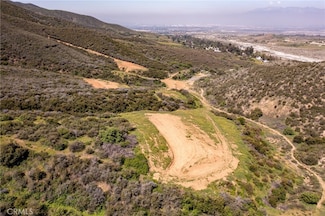 3 Plummers Ln, Mentone, CA 92359