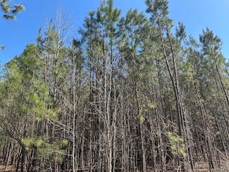 1726 S Carolina 61, Ridgeville, SC 29472