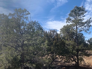 3914 Sunset Ridge Loop, Happy Jack, AZ 86024