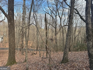 0 Geneva Place Unit 10648180, Sautee Nacoochee, GA 30571