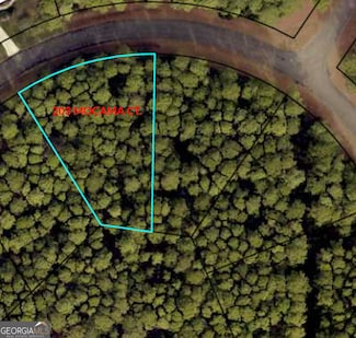 203 Mocama Ct, St. Marys, GA 31558