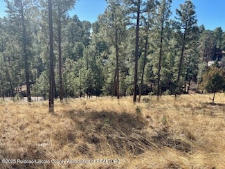 Lot 6 Camino Dr, Alto, NM 88312