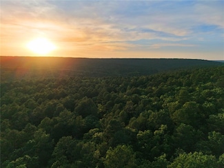 0 N Homestead Trail Unit 55 1171084, Moyers, OK 74557