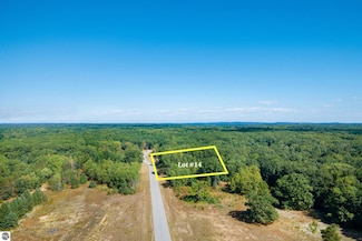 1561 Mary Lou Manor Unit 14, Interlochen, MI 49643