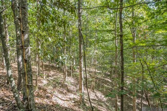 Tract A Rogers Rd, Saint Francisville, LA 70775
