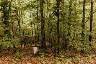 TBD Lot 4 Sandy Ridge Rd, Campton, KY 41301