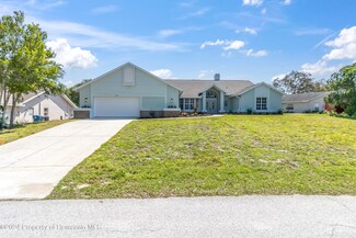 2458 Sunrise Ct, Spring Hill, FL 34608