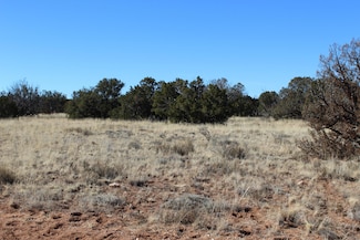 1924 Hutch Rd, Heber, AZ 85928