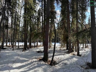 Lot 13, Block A River Park Dr, Fairbanks, AK 99712