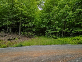 1.8 Acre Mangum's Trail, Blue Ridge, GA 30513