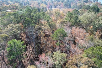 TBD Charles Dr, Manning, SC 29102