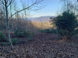 0000 Forest Branch Trail, Fancy Gap, VA 24328