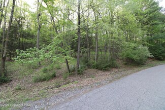 0 Northcreek Dr, Lower Towamensing Township, PA 18071
