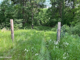 4315 N Crockett Rd, Sarah, MS 38665