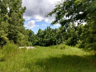 29.45 ac Lunar Ln, Williston, SC 29853