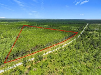 TBD NW Co Road 336, Chiefland, FL 32626
