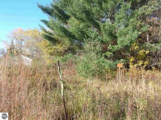 00 Michigan 65, Hale, MI 48739