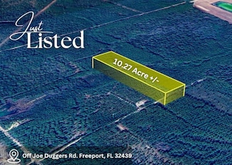 0 Joe Dugger Rd Unit 969147, Freeport, FL 32439