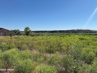 0 W Main St Unit 256958, Springerville, AZ 85938