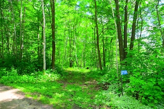 27589 Norway Trail, Cushing Township, MN 56475