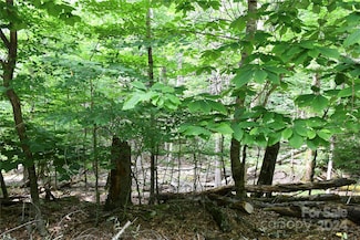 102 Blackberry Trail Unit 235/C, Beech Mountain, NC 28604