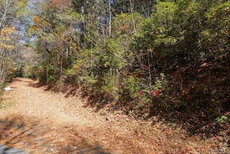 0 Lick Log Unit 103346, Scaly Mountain, NC 28775