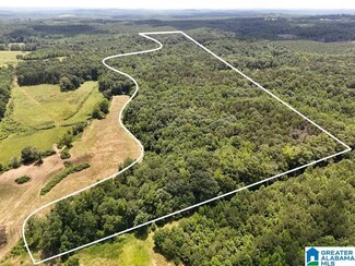 0 County Road 208 Unit 21424680, Wedowee, AL 36278