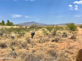 TBD N Carina Cir Unit 30, Mescal, AZ 85602