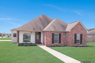 25280 Black Lake Ave, Livingston, LA 70754