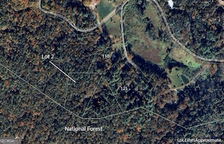 0 Chimney Mountain Flats Trail Unit 10406312, Clarkesville, GA 30523