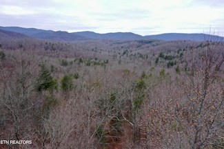 0 Wolf Creek Rd Unit 1312959, Robbins, TN 37852